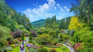 Butchart Gardens